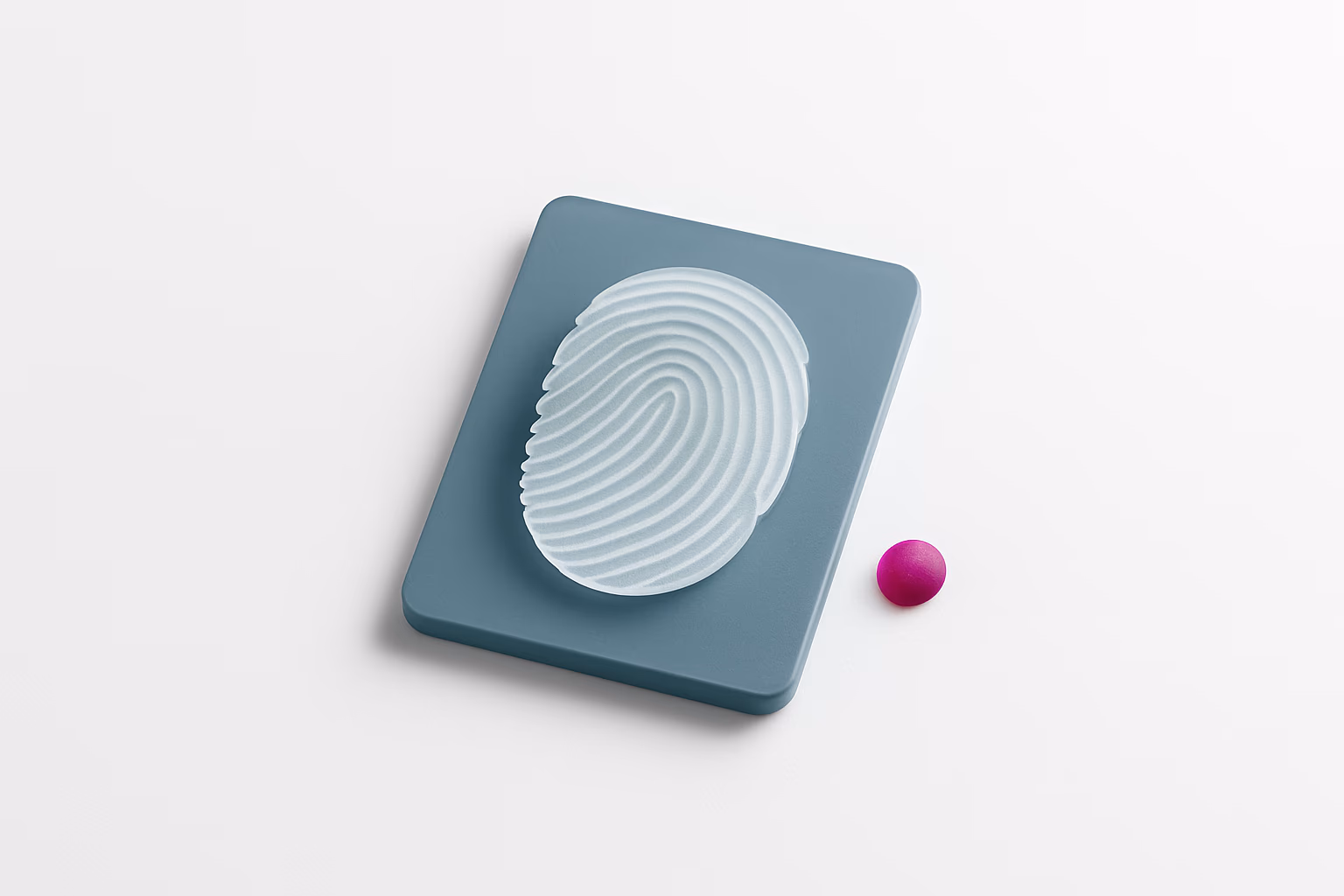 Illustration for the article: Biometric Data Security (1)